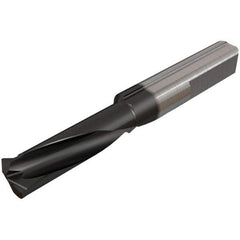 Iscar - 12mm Cutting Depth, 6mm Diam, Internal/External Thread, Solid Carbide, Single Point Threading Tool - TiAlN/TiN Finish, 34mm OAL, 6mm Shank Diam, 0.06" Projection from Edge, 0.5 to 1mm Pitch, 60° Profile Angle - Exact Tool & Supply
