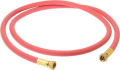 Coilhose Pneumatics - Paint Sprayer Hose with Fittings - Fixture, Compatible with Paint Sprayers - Exact Tool & Supply