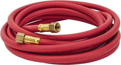 Coilhose Pneumatics - Paint Sprayer Hose with Fittings - Exact Tool & Supply
