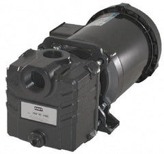 American Machine & Tool - 115/230 Volt, 1 Phase, 3/4 HP, Self Priming Centrifugal Pump - ODP Motor, Cast Iron Housing and Impeller, 65 Ft. Shut Off - Exact Tool & Supply