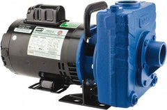 American Machine & Tool - 115/230 Volt, 1 Phase, 3/4 HP, Self Priming Centrifugal Pump - 1-1/2 Inch Inlet, 78 Head Pressure, Cast Iron Housing and Impeller - Exact Tool & Supply