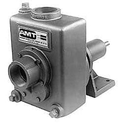 American Machine & Tool - 2 Inch Outlet, Cast Iron, Pedestal Mount Pump - F.G. Casing Seal, Pedestal Pump - Exact Tool & Supply