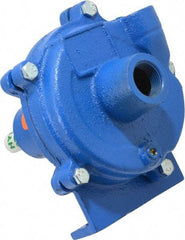 American Machine & Tool - 3/4 Inch Inlet, 1/2 Inch Outlet, Cast Iron, Pedestal Mount Pump - O Ring Casing Seal - Exact Tool & Supply
