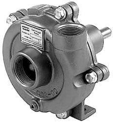 American Machine & Tool - 1-1/4 Inch Inlet, 1 Inch Outlet, Stainless Steel, Pedestal Mount Pump - O Ring Casing Seal - Exact Tool & Supply
