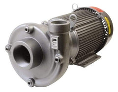 American Machine & Tool - 230/460V Volt, 3 Phase, 15 HP, Cast Iron Straight Pump - 3 Inch Inlet, 2 Inch Outlet, 194 Max Head psi, Stainless Steel Impeller, Buna-N Seal - Exact Tool & Supply