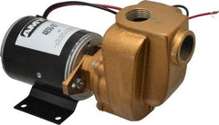 American Machine & Tool - 12 Volt, 1/8 hp, 3/4 Inlet, Bronze Utility Pump - 14 Max Head Pressure, 3/4 Inch Outlet - Exact Tool & Supply