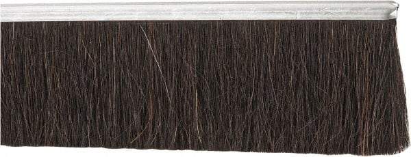 PRO-SOURCE - 1/2" Back Strip Brush Width, Metal Back Horsehair Strip Brush - 3" Bristle Length, Horsehair, 72" OAL - Exact Tool & Supply