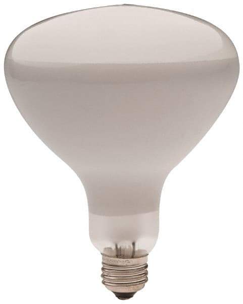 Philips - 300 Watt Incandescent Flood/Spot Medium Screw Lamp - 2,700°K Color Temp, 2,960 Lumens, 12 Volts, Dimmable, R40, 2,000 hr Avg Life - Exact Tool & Supply