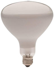 Philips - 300 Watt Incandescent Flood/Spot Medium Screw Lamp - 2,700°K Color Temp, 2,960 Lumens, 12 Volts, Dimmable, R40, 2,000 hr Avg Life - Exact Tool & Supply