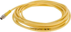 Brad Harrison - 4 Amp, M8 Male Straight to Pigtail Cordset Sensor and Receptacle - 60 VAC, 75 VDC, 4m Cable Length, IP68 Ingress Rating - Exact Tool & Supply