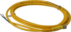 Brad Harrison - 4 Amp, M8 Female Straight to Pigtail Cordset Sensor and Receptacle - 60 VAC, 75 VDC, 2m Cable Length, IP68 Ingress Rating - Exact Tool & Supply