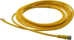 Brad Harrison - 3 Amp, M8 Female Straight to Pigtail Cordset Sensor and Receptacle - 60 VAC, 75 VDC, 4m Cable Length, IP68 Ingress Rating - Exact Tool & Supply