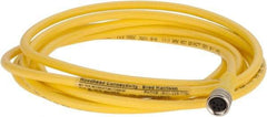 Brad Harrison - 3 Amp, M8 Female Straight to Pigtail Cordset Sensor and Receptacle - 60 VAC, 75 VDC, 2m Cable Length, IP68 Ingress Rating - Exact Tool & Supply