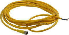 Brad Harrison - 3 Amp, M8 Female Straight to Pigtail Cordset Sensor and Receptacle - 60 VAC, 75 VDC, 5m Cable Length, IP68 Ingress Rating - Exact Tool & Supply