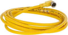 Brad Harrison - 3 Amp, M8 Female 90° to Pigtail Cordset Sensor and Receptacle - 60 VAC, 75 VDC, 2m Cable Length, IP67 Ingress Rating - Exact Tool & Supply