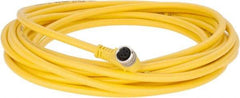 Brad Harrison - 3 Amp, M8 Female 90° to Pigtail Cordset Sensor and Receptacle - 60 VAC, 75 VDC, 5m Cable Length, IP67 Ingress Rating - Exact Tool & Supply