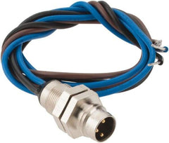 Brad Harrison - 4 Amp, M8 Male Straight Receptacle - 60 VAC, 75 VDC, 0.30m Cable Length, IP67 Ingress Rating - Exact Tool & Supply