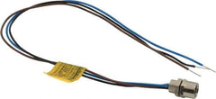 Brad Harrison - 4 Amp, M8 Female Straight Receptacle - 60 VAC, 75 VDC, 0.30m Cable Length, IP67 Ingress Rating - Exact Tool & Supply