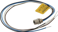 Brad Harrison - 4 Amp, M8 Female Straight Receptacle - 60 VAC, 75 VDC, 0.30m Cable Length, IP67 Ingress Rating - Exact Tool & Supply