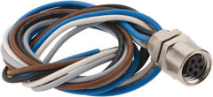 Brad Harrison - 3 Amp, M8 Female Straight Receptacle - 60 VAC, 75 VDC, 0.30m Cable Length, IP67 Ingress Rating - Exact Tool & Supply