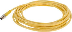 Brad Harrison - 4 Amp, Female 90° to Male 90° Cordset Sensor and Receptacle - 250 VAC/VDC, 4m Cable Length, IP68 Ingress Rating - Exact Tool & Supply