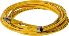 Brad Harrison - 4 Amp, M8 Male Straight to Female Straight Cordset Sensor and Receptacle - 60 VAC, 75 VDC, 4m Cable Length, IP68 Ingress Rating - Exact Tool & Supply