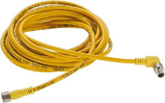 Brad Harrison - 4 Amp, Female 90° to Male 90° Cordset Sensor and Receptacle - 250 VAC/VDC, 4m Cable Length, IP68 Ingress Rating - Exact Tool & Supply