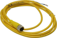 Brad Harrison - 4 Amp, M12 Female Straight to Pigtail Cordset Sensor and Receptacle - 250 VAC/VDC, 2m Cable Length, IP67 Ingress Rating - Exact Tool & Supply