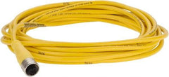 Brad Harrison - 4 Amp, M12 Female Straight to Pigtail Cordset Sensor and Receptacle - 250 VAC/VDC, 5m Cable Length, IP67 Ingress Rating - Exact Tool & Supply