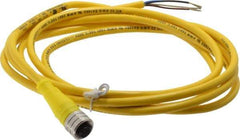 Brad Harrison - 4 Amp, M12 Female Straight to Pigtail Cordset Sensor and Receptacle - 250 VAC/VDC, 2m Cable Length, IP67 Ingress Rating - Exact Tool & Supply