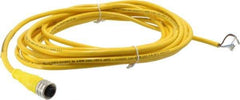 Brad Harrison - 4 Amp, M12 Female Straight to Pigtail Cordset Sensor and Receptacle - 250 VAC/VDC, 5m Cable Length, IP67 Ingress Rating - Exact Tool & Supply