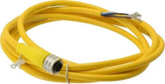 Brad Harrison - 4 Amp, M12 Female Straight to Pigtail Cordset Sensor and Receptacle - 250 VAC/VDC, 2m Cable Length, IP67 Ingress Rating - Exact Tool & Supply