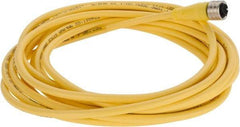 Brad Harrison - 4 Amp, M12 Female Straight to Pigtail Cordset Sensor and Receptacle - 250 VAC/VDC, 5m Cable Length, IP67 Ingress Rating - Exact Tool & Supply