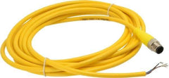 Brad Harrison - Male Straight Cordset Sensor and Receptacle - 250 VAC/VDC, 4m Cable Length, IP68 Ingress Rating - Exact Tool & Supply