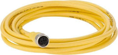 Brad Harrison - Female Straight Cordset Sensor and Receptacle - 250 VAC/VDC, 4m Cable Length, IP68 Ingress Rating - Exact Tool & Supply