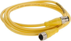 Brad Harrison - Female to Male Cordset Sensor and Receptacle - 250 VAC/VDC, 2m Cable Length, IP68 Ingress Rating - Exact Tool & Supply