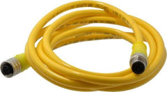 Brad Harrison - Female to Male Cordset Sensor and Receptacle - 250 VAC/VDC, 2m Cable Length, IP68 Ingress Rating - Exact Tool & Supply