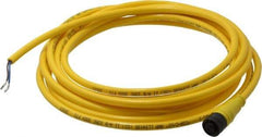 Brad Harrison - Female Straight Cordset Sensor and Receptacle - 250 VAC/VDC, 12 Ft. Long Cable, IP68 Ingress Rating - Exact Tool & Supply