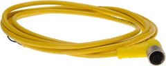 Brad Harrison - 4 Amp, M12 Female 90° to Pigtail Cordset Sensor and Receptacle - 250 VAC/VDC, 2m Cable Length, IP67 Ingress Rating - Exact Tool & Supply