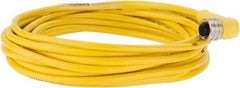 Brad Harrison - 4 Amp, M12 Female 90° to Pigtail Cordset Sensor and Receptacle - 250 VAC/VDC, 5m Cable Length, IP67 Ingress Rating - Exact Tool & Supply
