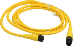 Brad Harrison - Female to Male Cordset Sensor and Receptacle - 250 VAC/VDC, 6 Ft. Long Cable, IP68 Ingress Rating - Exact Tool & Supply
