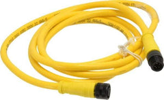 Brad Harrison - Female to Male Cordset Sensor and Receptacle - 250 VAC/VDC, 6 Ft. Long Cable, IP68 Ingress Rating - Exact Tool & Supply