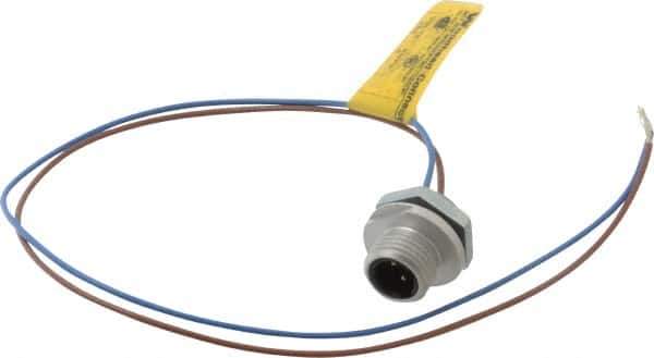 Brad Harrison - 4 Amp, 1/2-20 UNF Male Straight Receptacle - 250 VAC/VDC, 0.31m Cable Length, IP67 Ingress Rating - Exact Tool & Supply