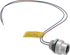 Brad Harrison - 4 Amp, 1/2-20 UNF Female Straight Receptacle - 250 VAC/VDC, 0.31m Cable Length, IP67 Ingress Rating - Exact Tool & Supply