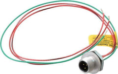 Brad Harrison - 4 Amp, 1/2-20 UNF Male Straight Receptacle - 250 VAC/VDC, 0.31m Cable Length, IP67 Ingress Rating - Exact Tool & Supply