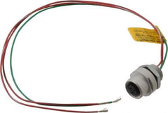 Brad Harrison - 4 Amp, 1/2-20 UNF Female Straight Receptacle - 250 VAC/VDC, 0.31m Cable Length, IP67 Ingress Rating - Exact Tool & Supply