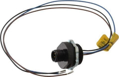 Brad Harrison - 4 Amp, M12 Male Straight Receptacle - 250 VAC/VDC, 0.31m Cable Length, IP67 Ingress Rating - Exact Tool & Supply