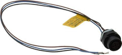 Brad Harrison - 4 Amp, M12 Female Straight Receptacle - 250 VAC/VDC, 0.31m Cable Length, IP67 Ingress Rating - Exact Tool & Supply