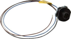 Brad Harrison - 4 Amp, M12 Male Straight Receptacle - 250 VAC/VDC, 0.31m Cable Length, IP67 Ingress Rating - Exact Tool & Supply