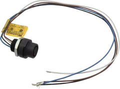 Brad Harrison - 4 Amp, M12 Female Straight Receptacle - 250 VAC/VDC, 0.31m Cable Length, IP67 Ingress Rating - Exact Tool & Supply